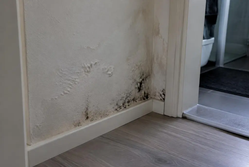 Lekdetectie Velp – vochtplek met schimmel op een muur